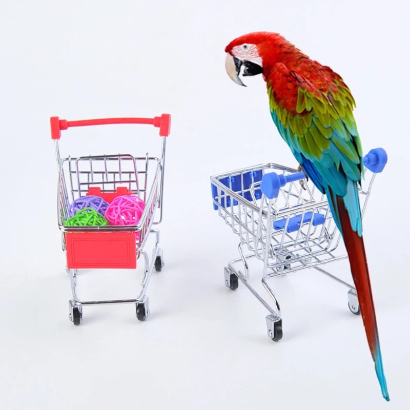 Title 8, Bird Toys 4 Types Parrot Toy Set Include Basket...