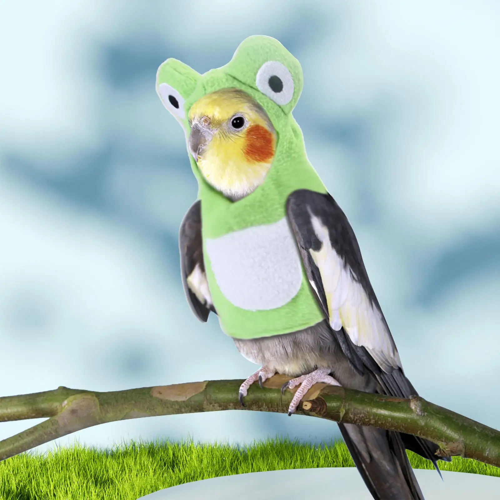Bird Clothes Frog Shaped Photo Prop Hoodie Reusable Bird Accessories Adorable