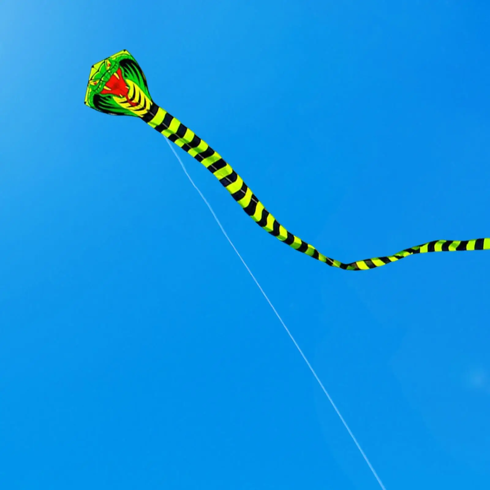 Huge Colorful  3D Single Line  Easily Fly for Beach Backyard