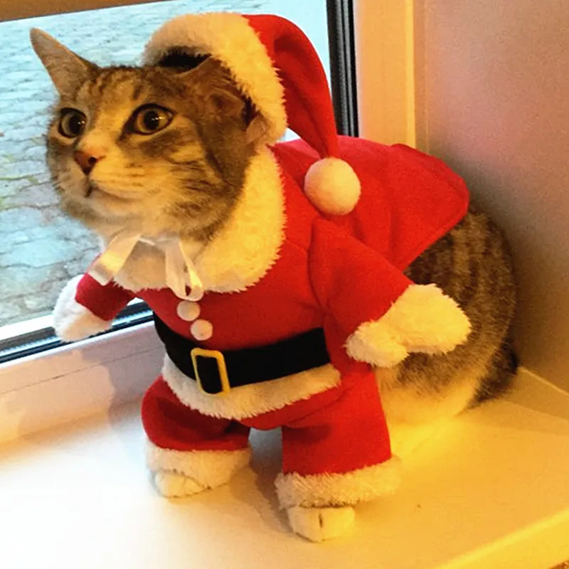 Shengruili Weihnachten Hundekleidung,Weihnachts Katze Kleidung,Haustier-Kleidung,Christmas Costumes,Weihnachtskostüm,Haustier Kleidung für Party,Hund Weihnachten Kostüm 