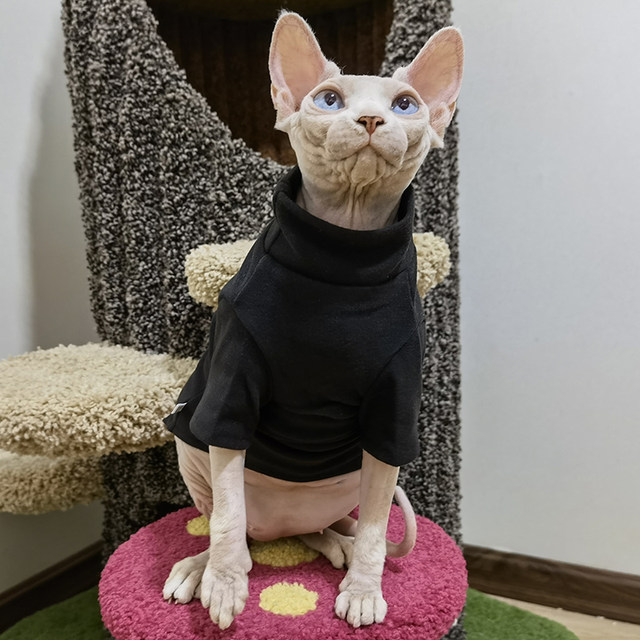 Elegant Warm DUOMASUMI Sphynx Cat Sweater Fashion Kitty Hairless Cat  Clothing Comfort Winter Dress for Sphynx Cat (XL)