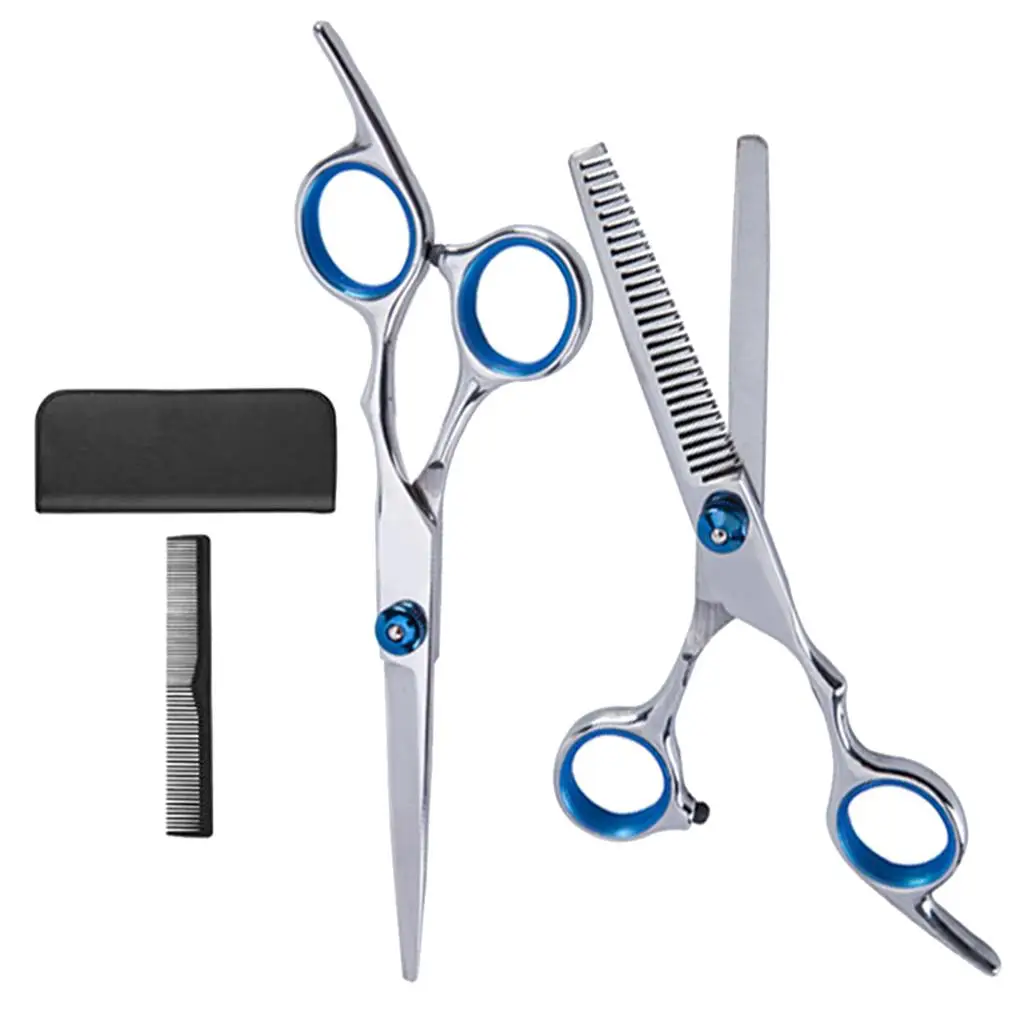 Premium Stainless Steel 6 Inch Thinning Scissors Hairdressing Scissor Set with