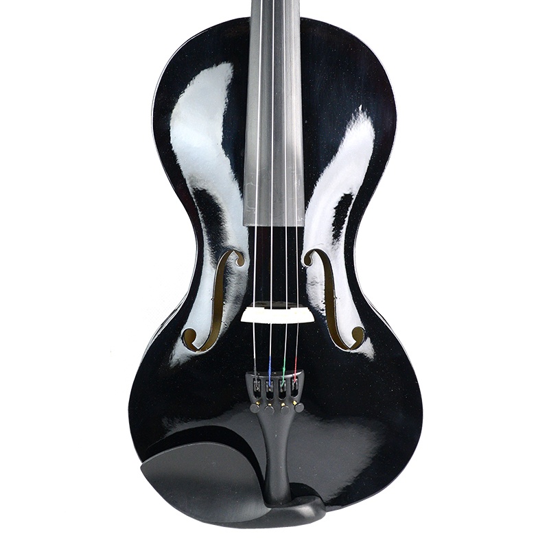 Title 19, Full Size Student Acoustic Violin Student 4/4 V...