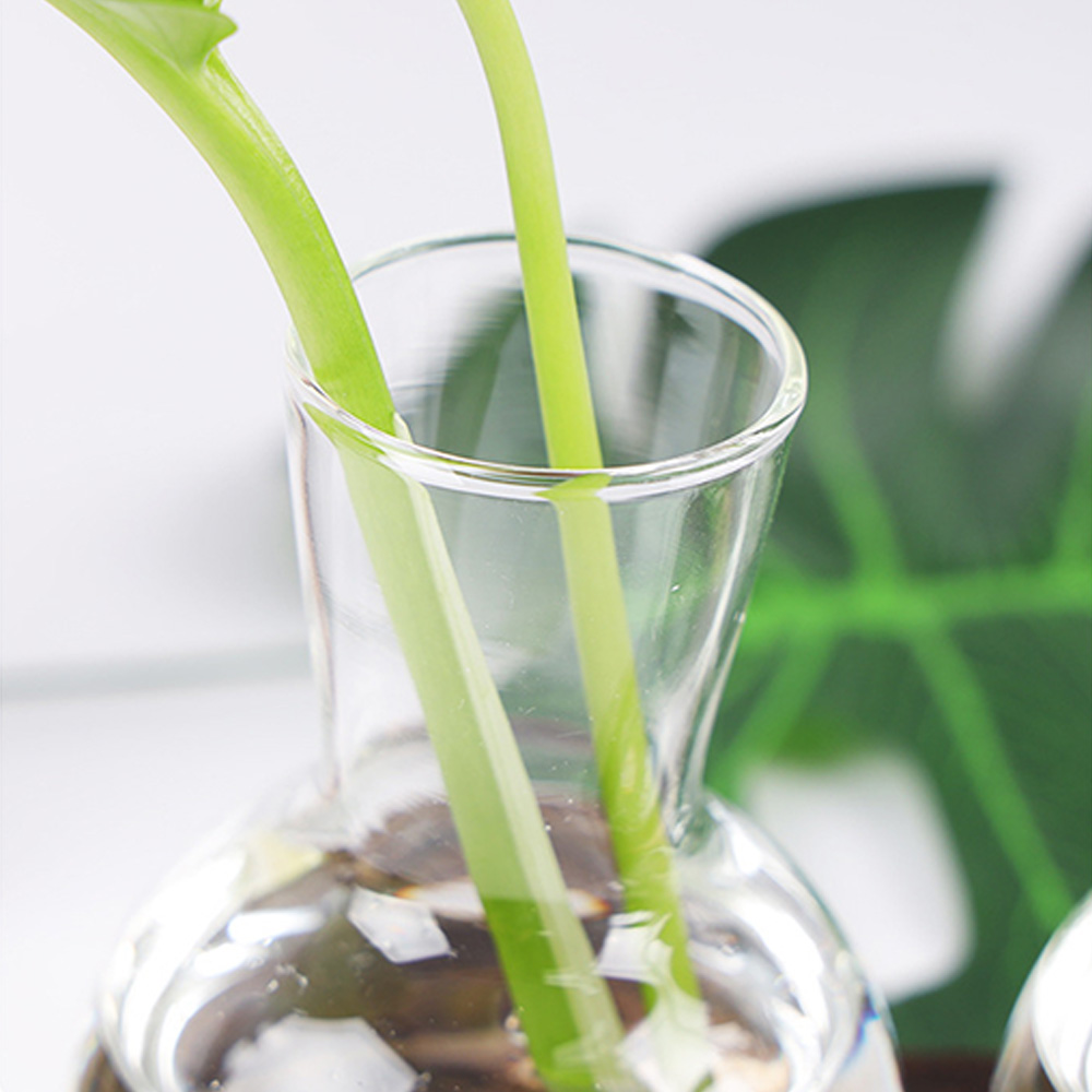Description Picture 3 of itemHydroponic Plants Container Plant Glass Test Tube Terrariums Vase in Wooden Stand Flower Pots Hydroponic Plants Test Tube Vase
