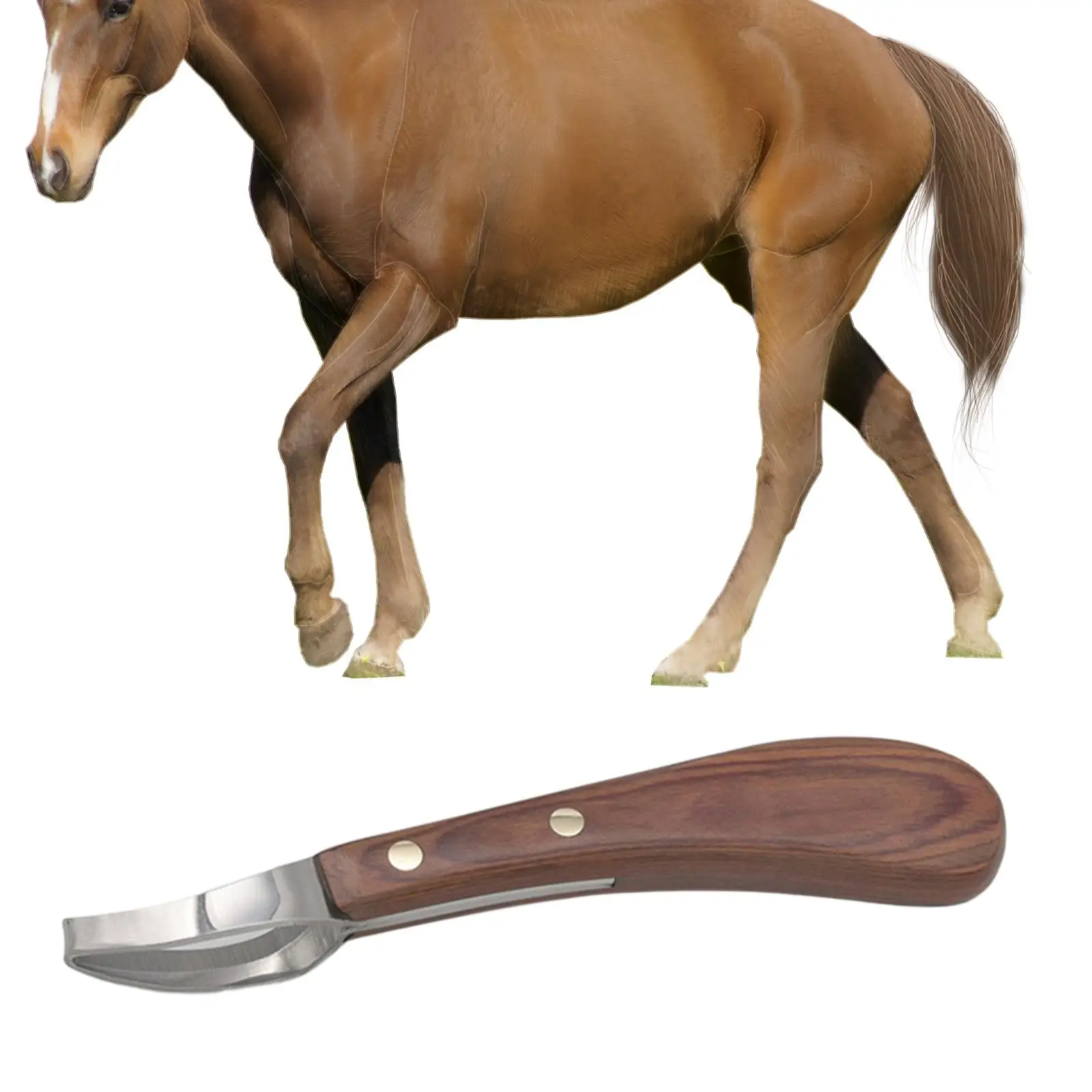 Hoof Knife with Wooden Handle Hoof Cutting Tool for Sheep Animal Cattle