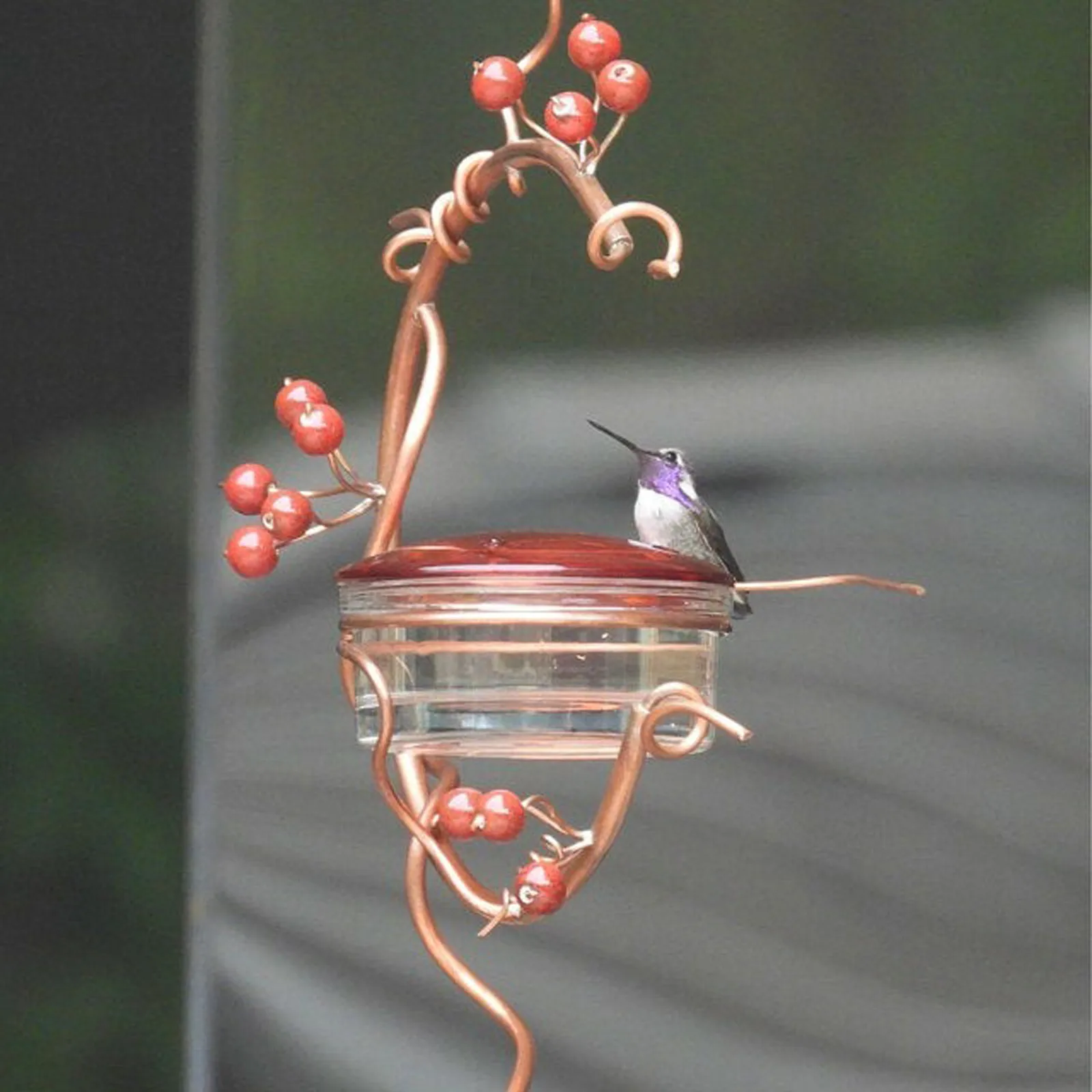 Flower Ant Moat Hummingbird Feeder Nectar Feeders Hooks Insect Guards Ants Trap< 