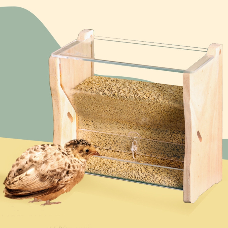 bird feed dispenser