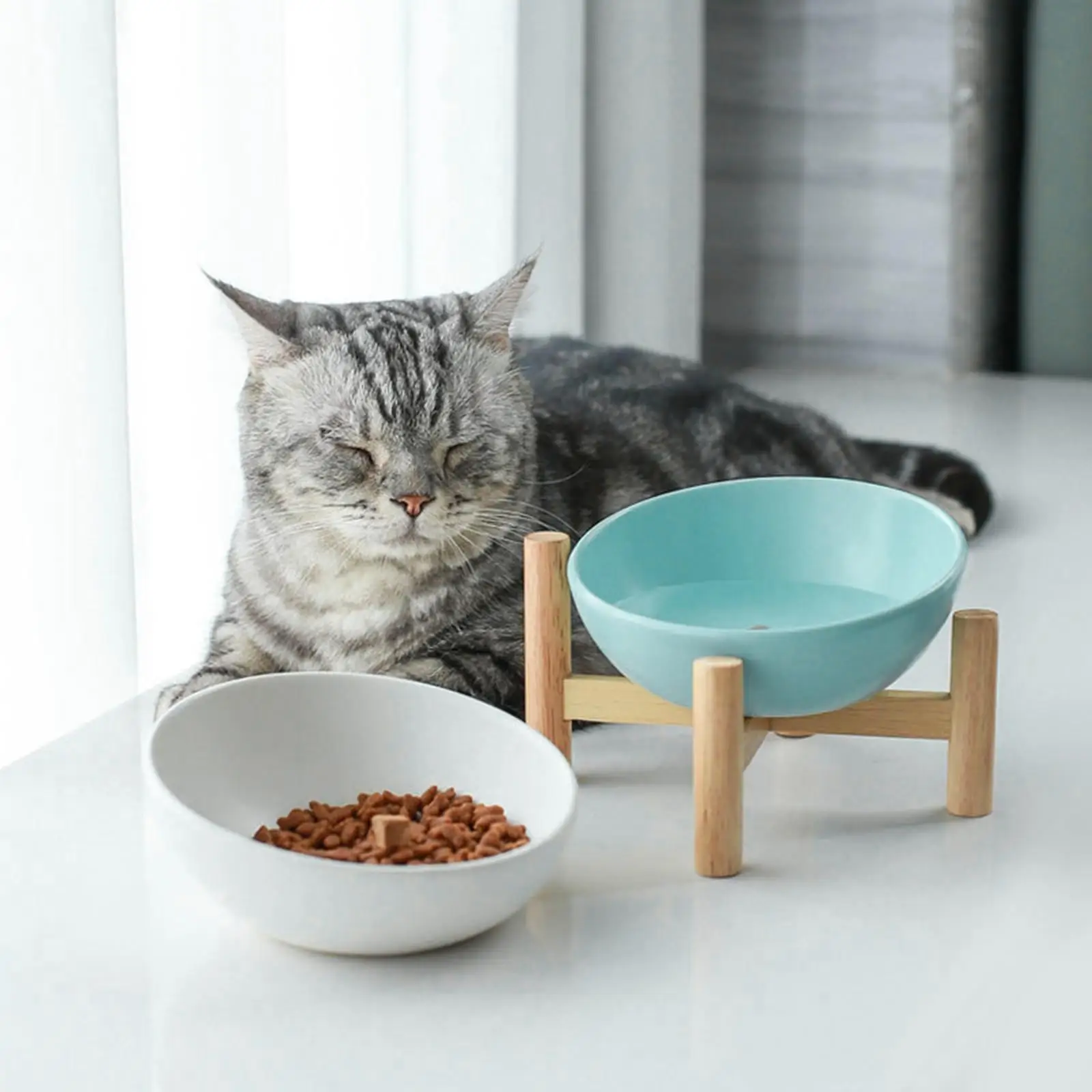 45° Tilting Cat Bowl with Stand Feeder Ceramic Removable Non Slip Feeding Portable Dog Bowl for Cats Dogs