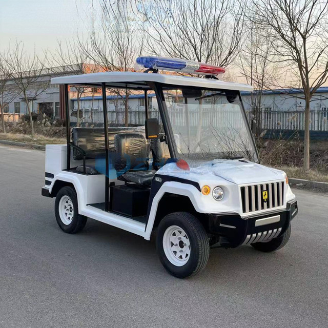 8 plazas de turismo eléctrico Carro de la playa para el turista