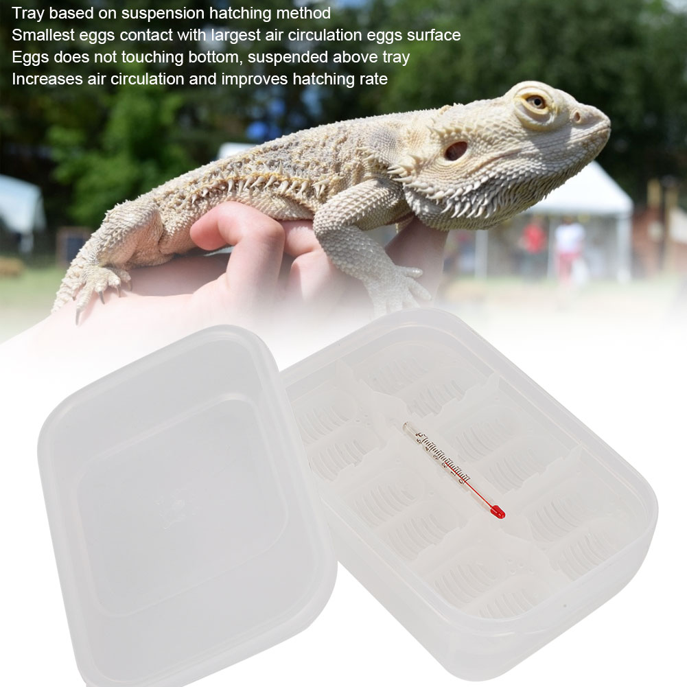 Title 8, 12 Grids Small Reptile Incubator Hatching Box P...