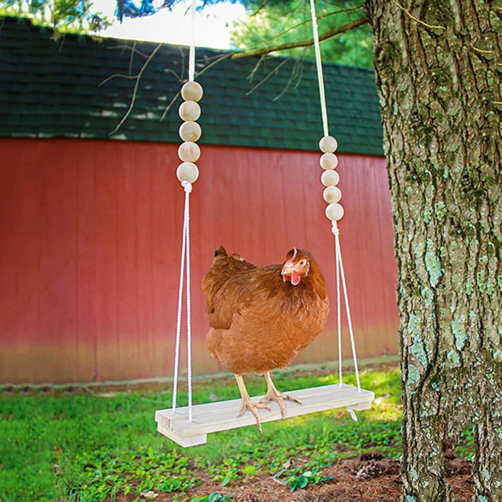 Wooden Chicken Swing Chicken Toys Chicken Coop for Large Finches Bird