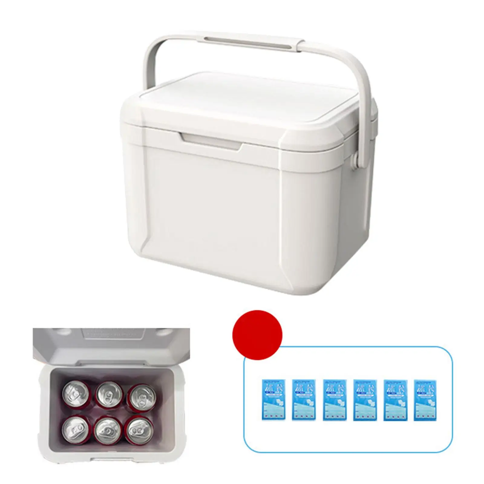 Insulated Cooler Box 5L Hard Cooler for Shipping Food Barbecue Party