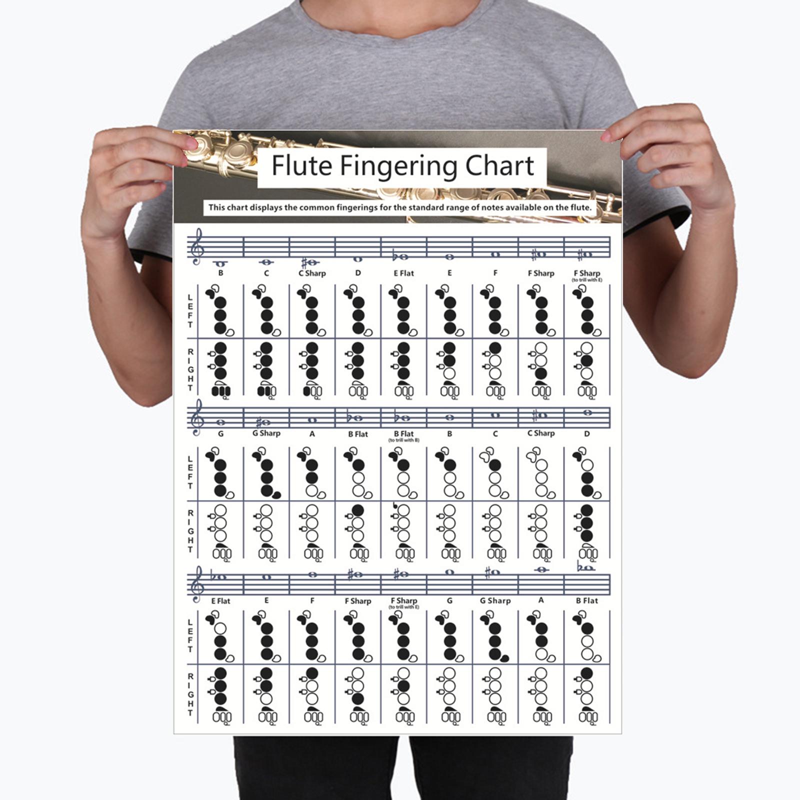 Copper Sheet Flute  Fingering Chart Instrument Instructional for Kids