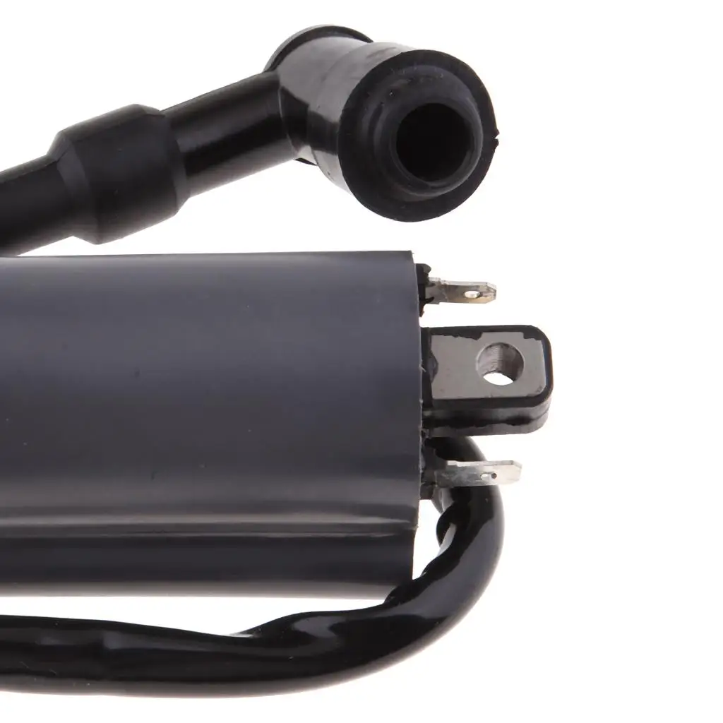 Ignition Coil for Buyang 260 260cc 300cc D300   ATV