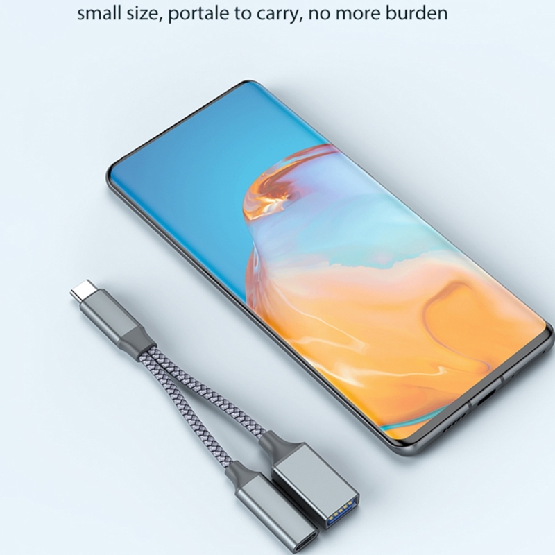 PD10W Schnelllade-USB-Typ-C-zu-USBC-OTG-Adapterkabel für Mobiltelefon-Laptop – Detail 2