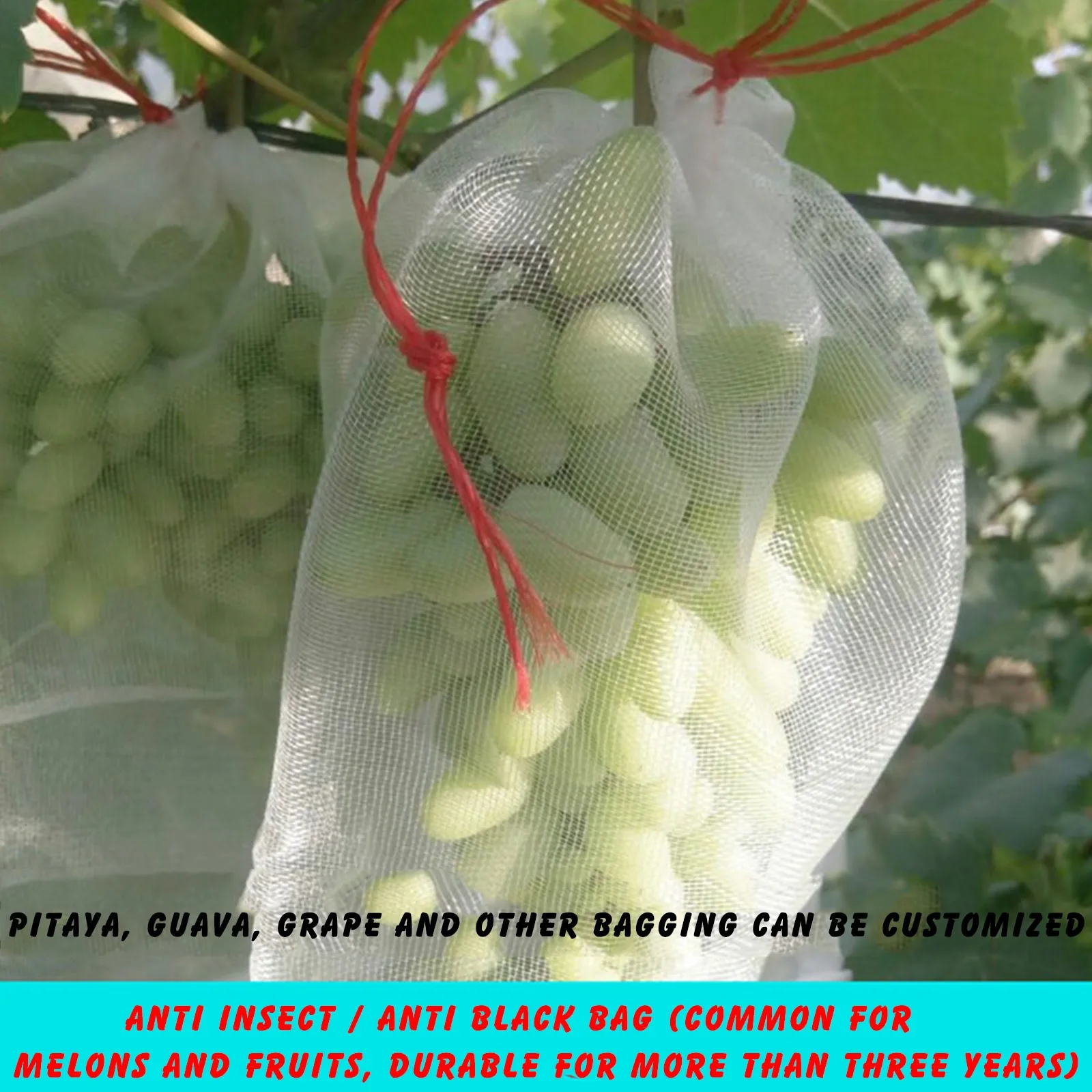 100pc Nylon Fruit Protection Bags Plant Vegetable Reusable Mesh Netting Bag Grapes Apple Pest Control Anti-Bird Garden Supplies
