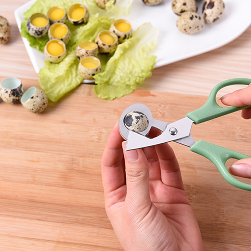 Description Picture 5 of item10pcs Quail Eggs Scissors, Stainless Steel Pigeon Quail Egg Cutter, Pigeon Bird Quail Egg Opener Kitchen Egg Shears Tool