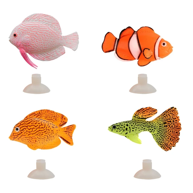 Articles pour votre poisson ou votre aquarium 🐠