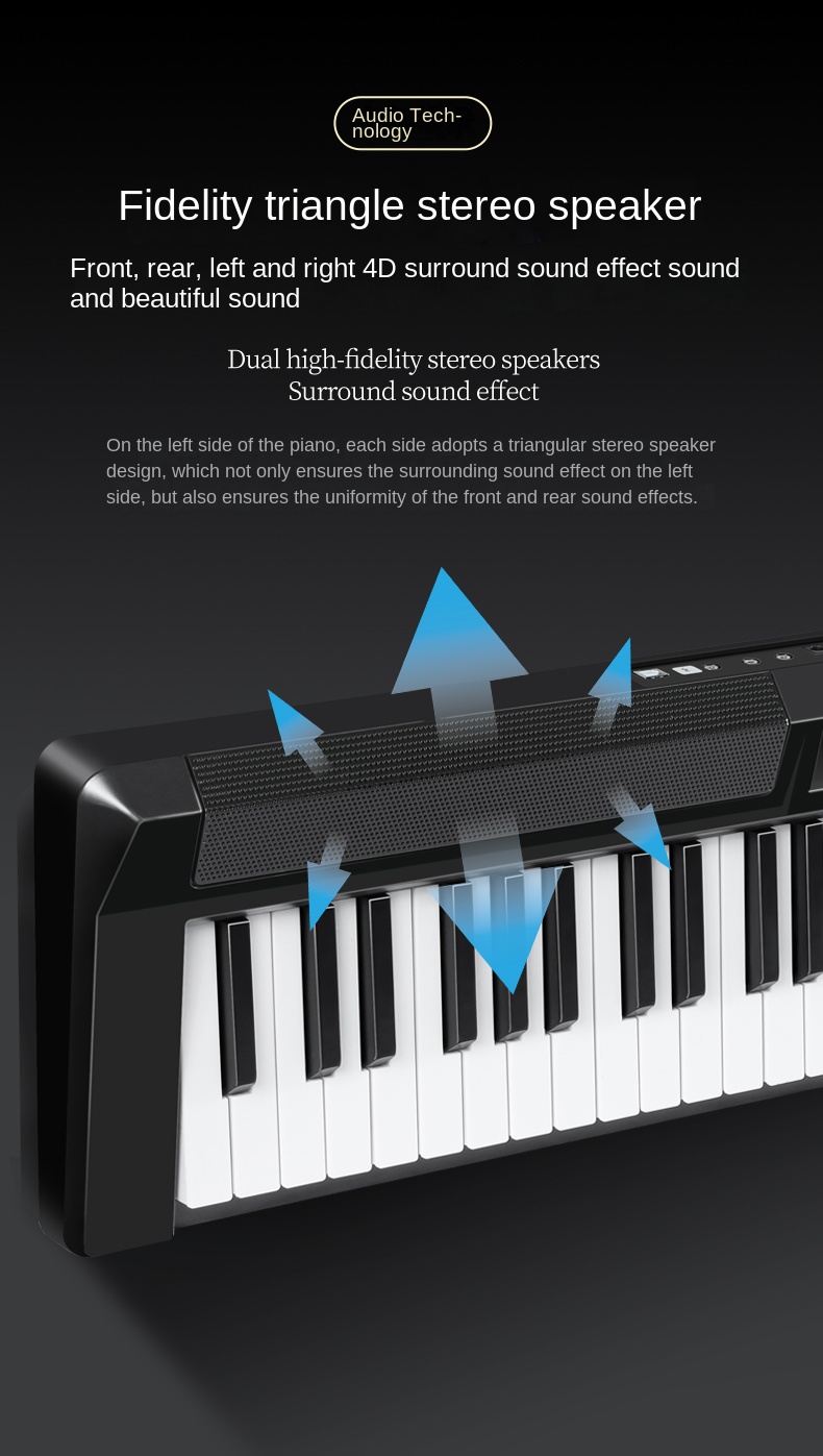 Title 14, Professional 88 Keyboard Electronic Organ Porta...