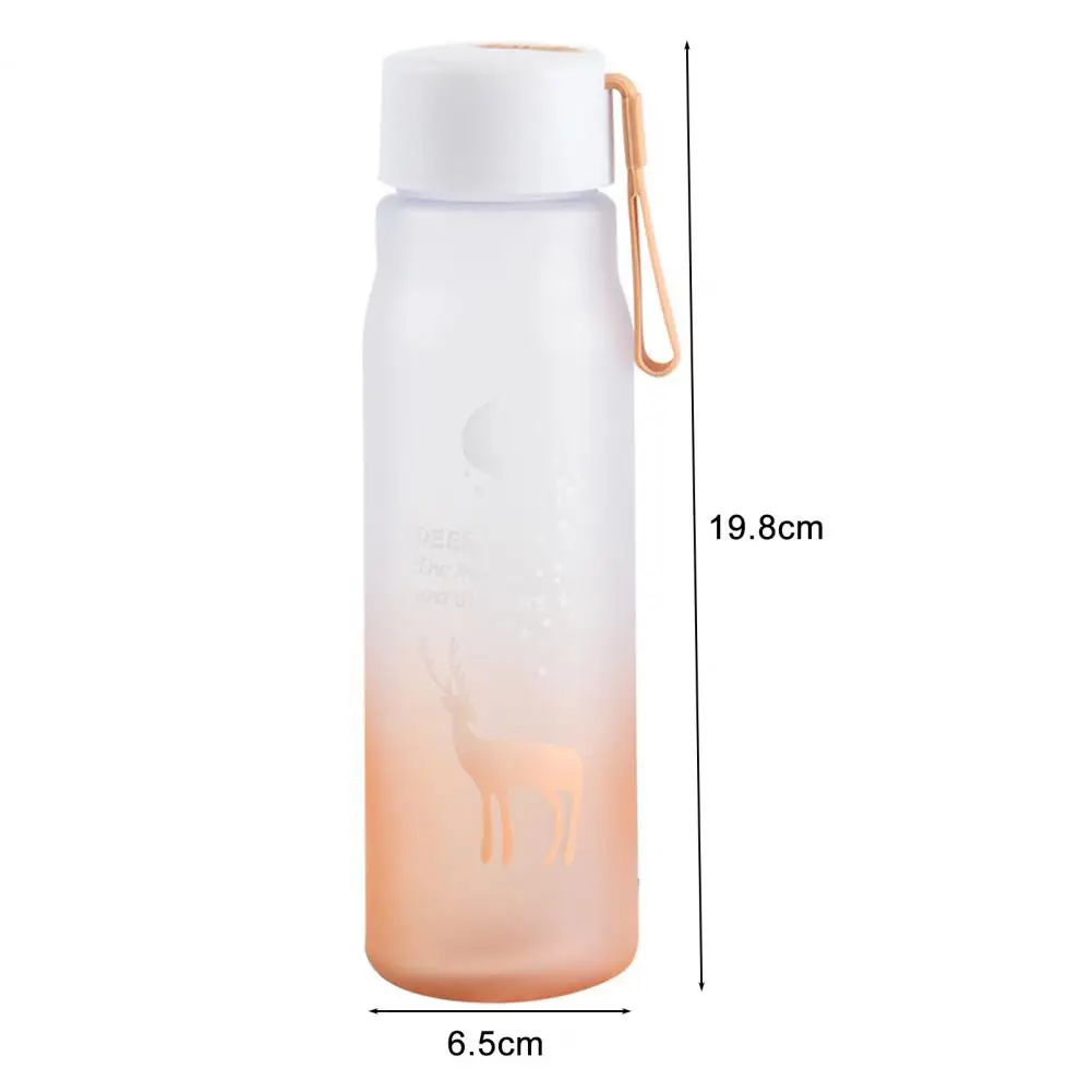 Luxury Gradient Colors Water Bottle 600ml Portable Tea Bottle Juice Shaker Bottle Adults Gifts Eco-friendly Camping Office everyday drinking glasses