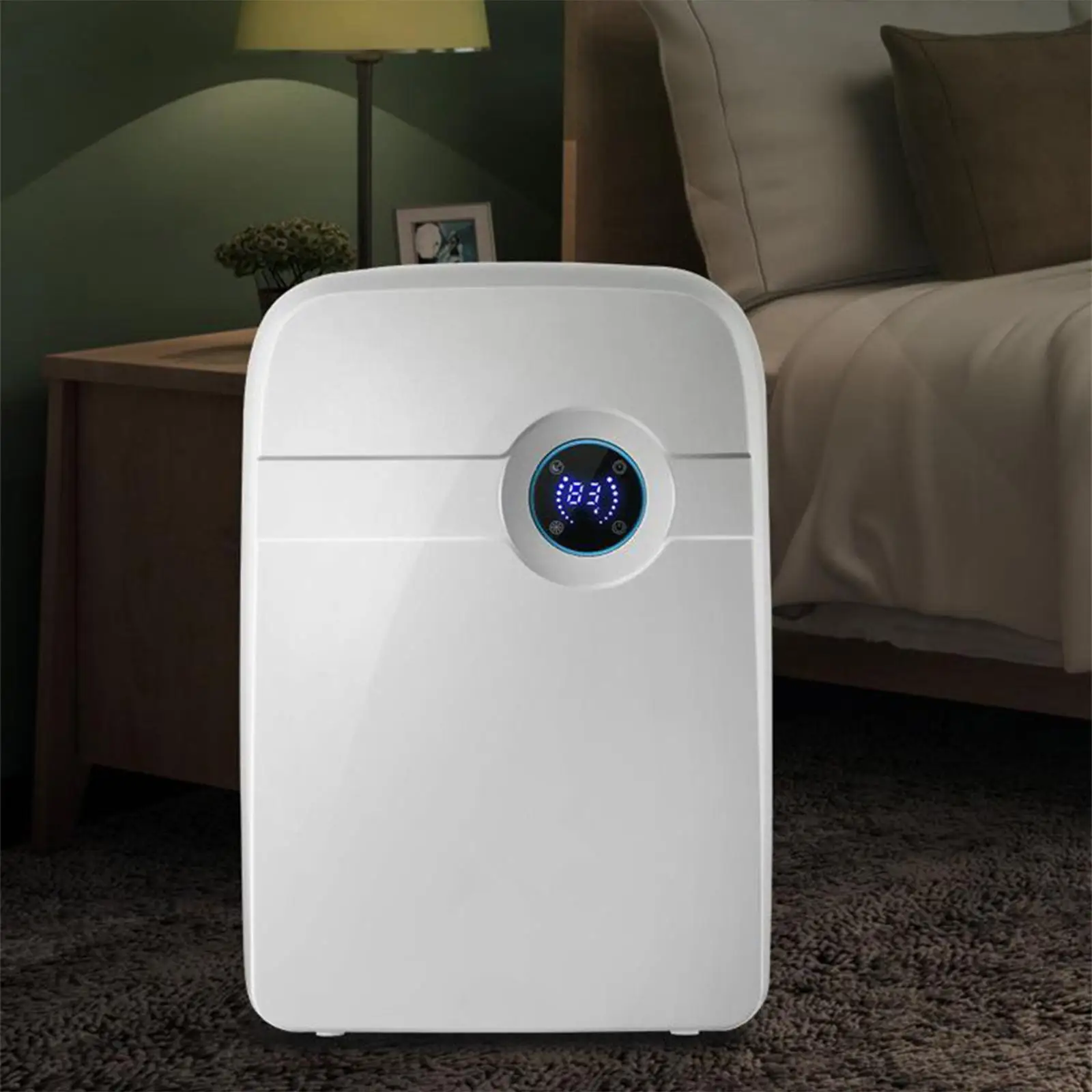 Portable Electric Dehumidifier & 2.5L Water Tank for Home Bathroom