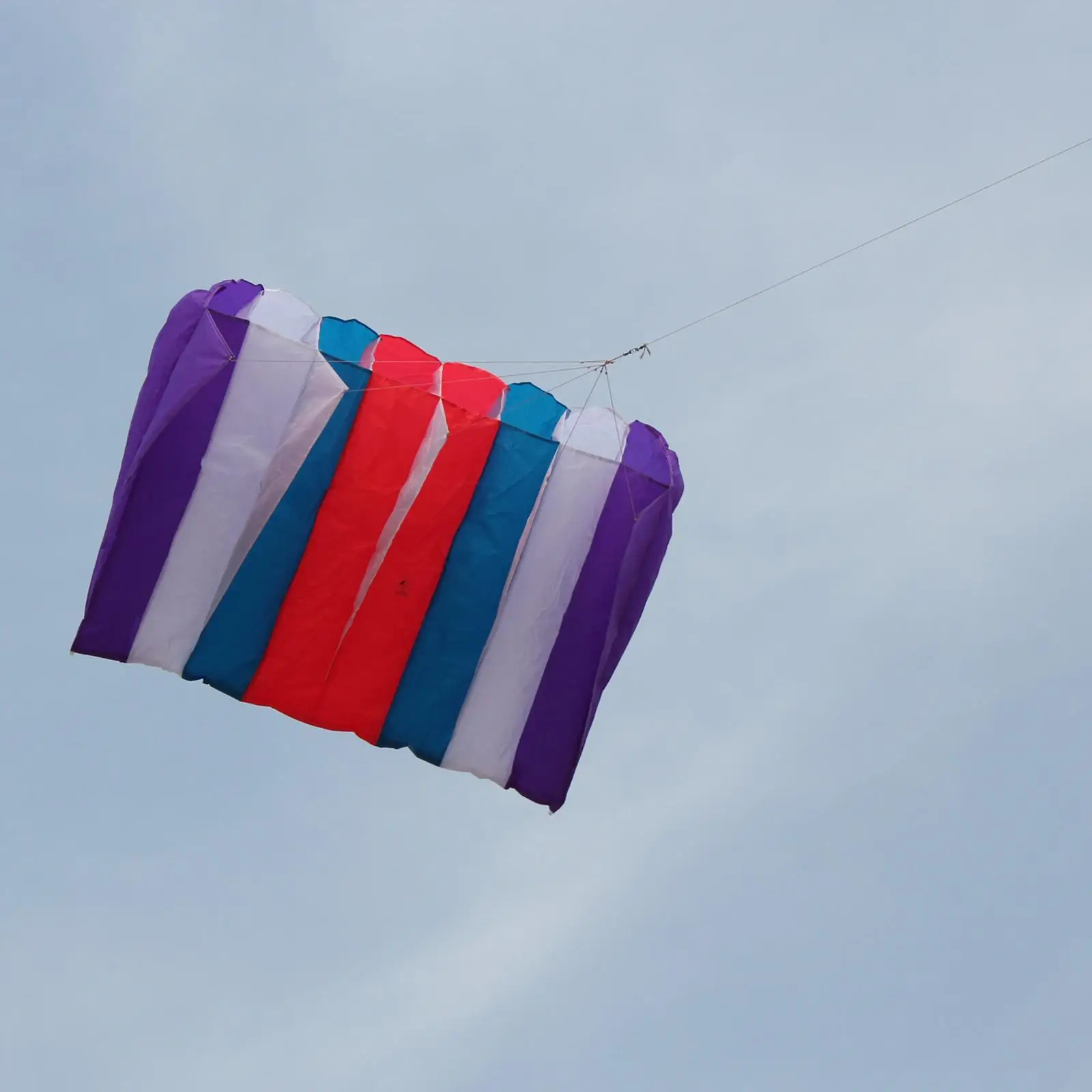 Single Line Kites and 9.84ft Flying Line for Kids and Adults Beginners