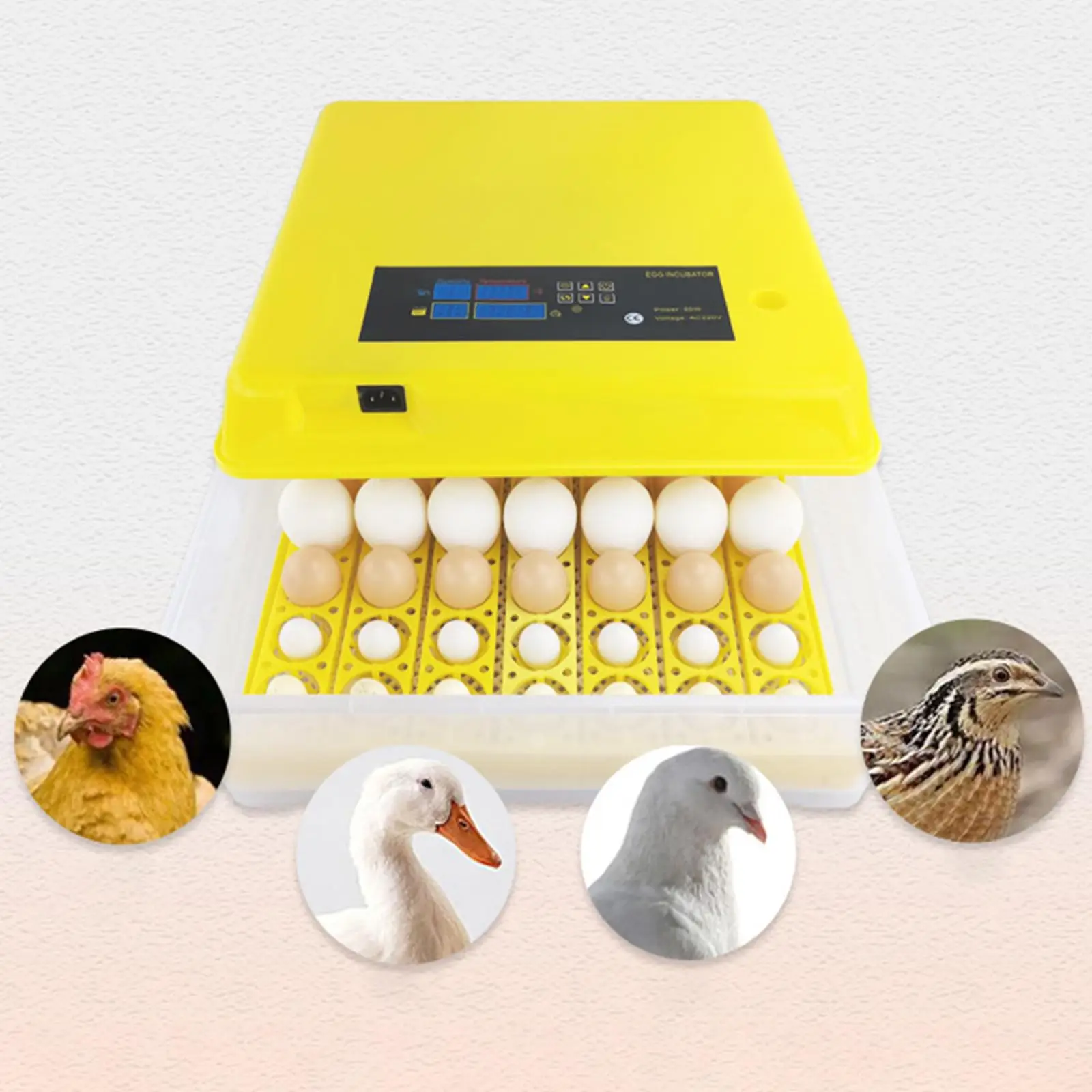 Digital Egg Incubator Brooding Machine Temperature and Humidity Control Egg Turner Farm Egg Incubator for Turkey Birds Hatching