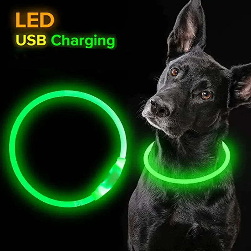 Title 5, Lumière Led collier de chien détachable brillan...