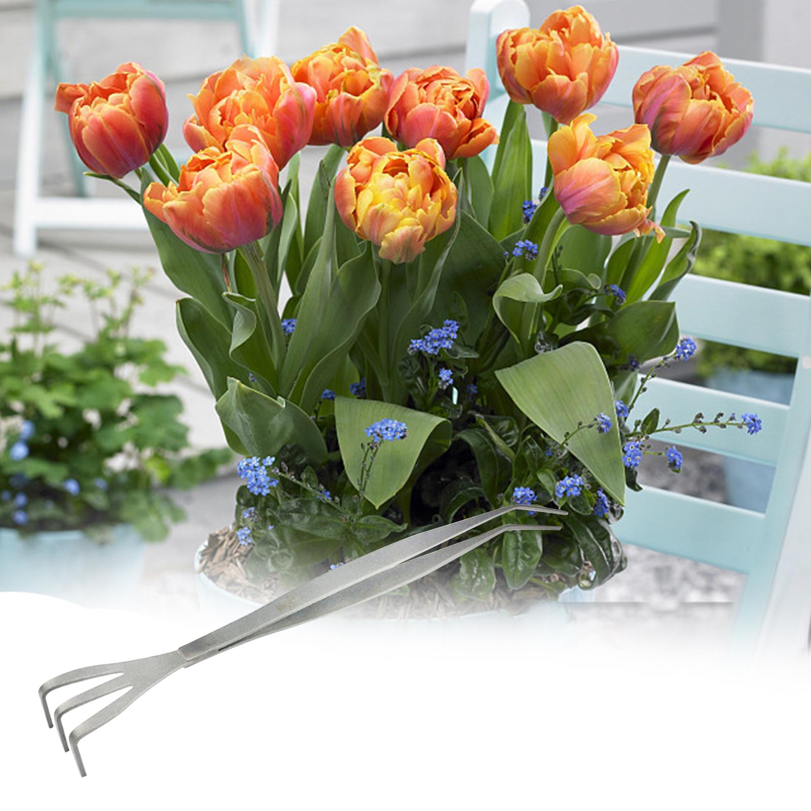 Household Gardening Rake Reusable Min Hand Rake Portable for Flower Pot Vase