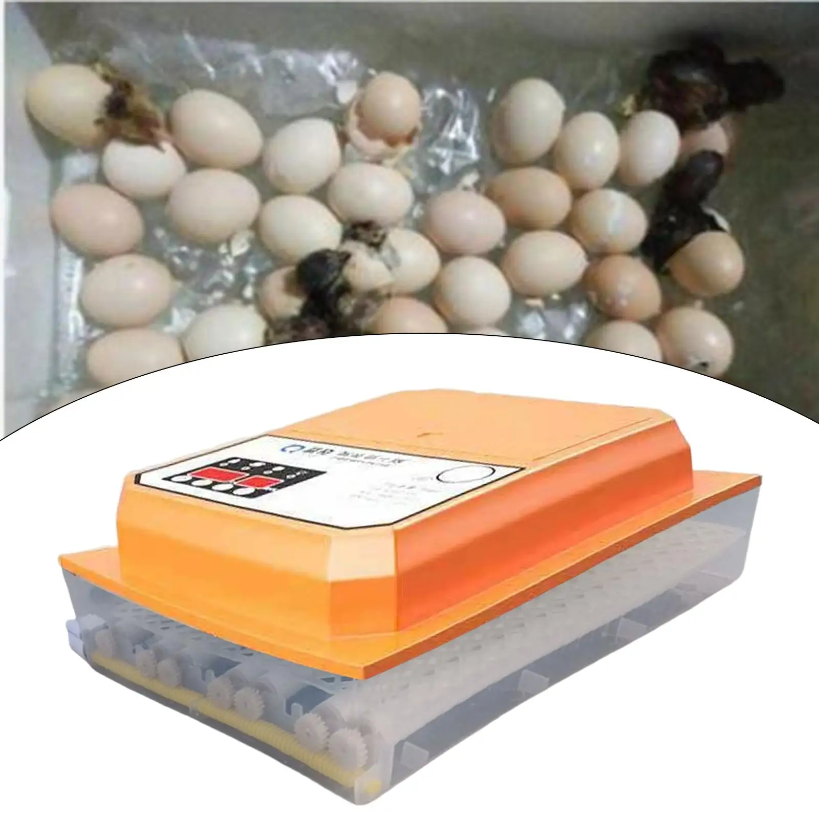 Fully Automatic Eggs Incubator Poultry Egg Turning Hatching Machine Brooder Device for Chicken Geese Quail