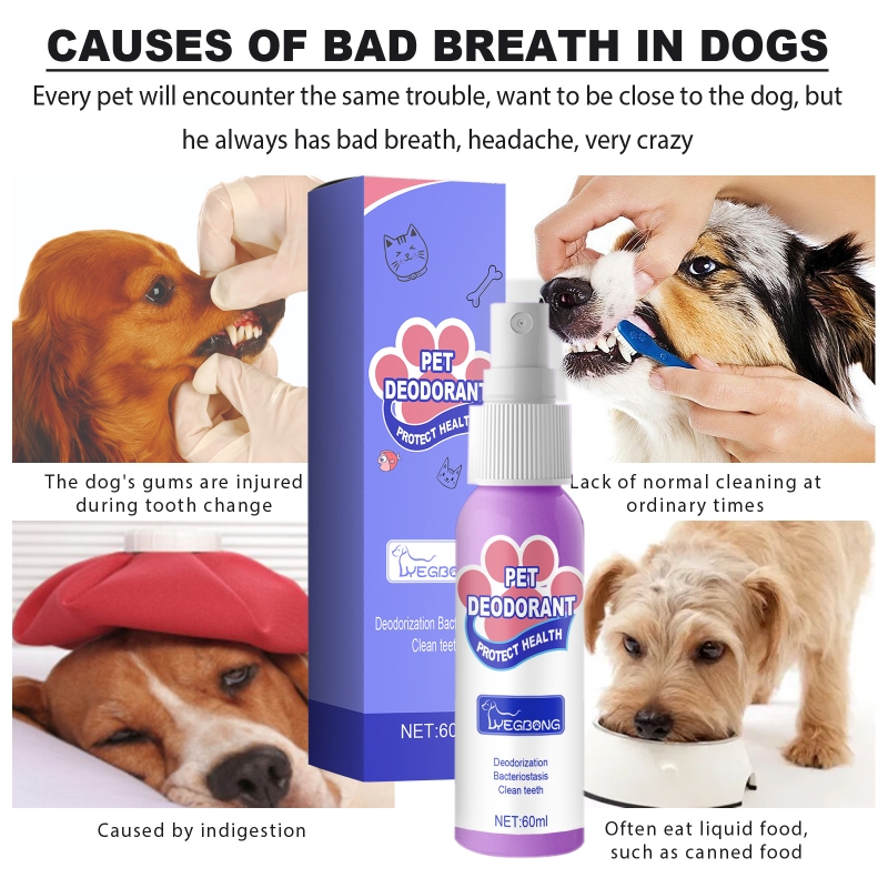 what causes extremely bad breath in dogs