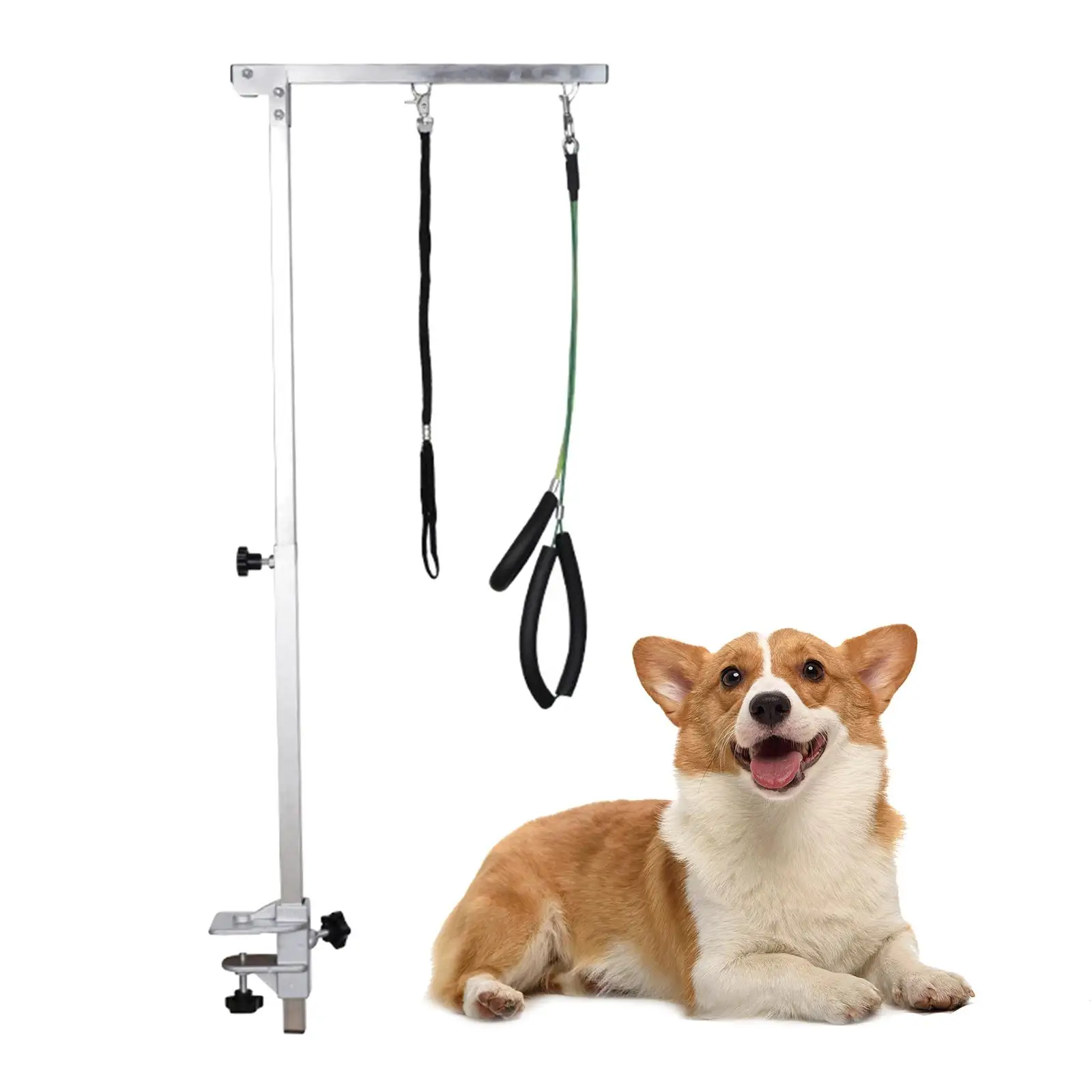 Pet Dog Grooming Arm Pet Grooming Arm Tool with Clamps Loop Noose Flexible Table Hanger Pet Grooming Arm with Clamp Professional