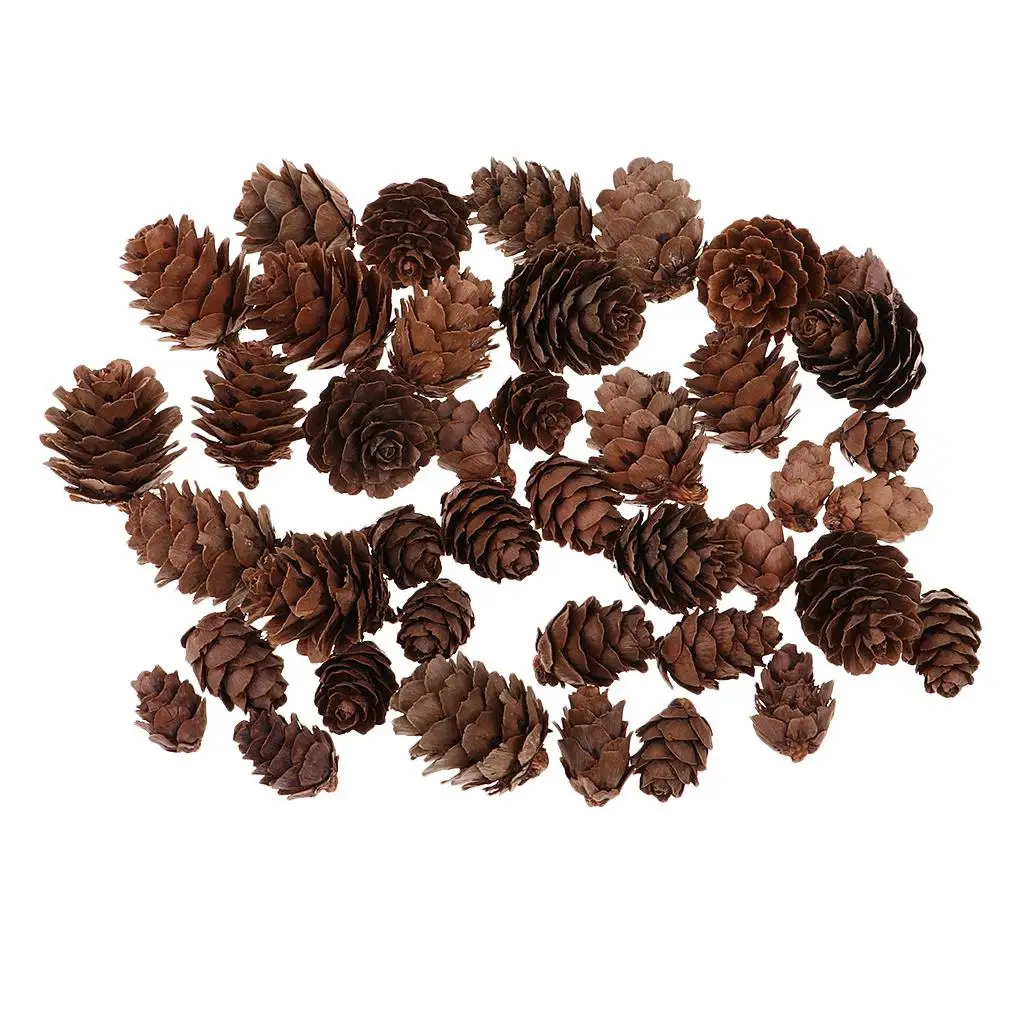 50 Pcs Rustic  Pine Cones in Bulk   Ornaments for Home Decor and Christmas Wedding  Party Hanging Crafts