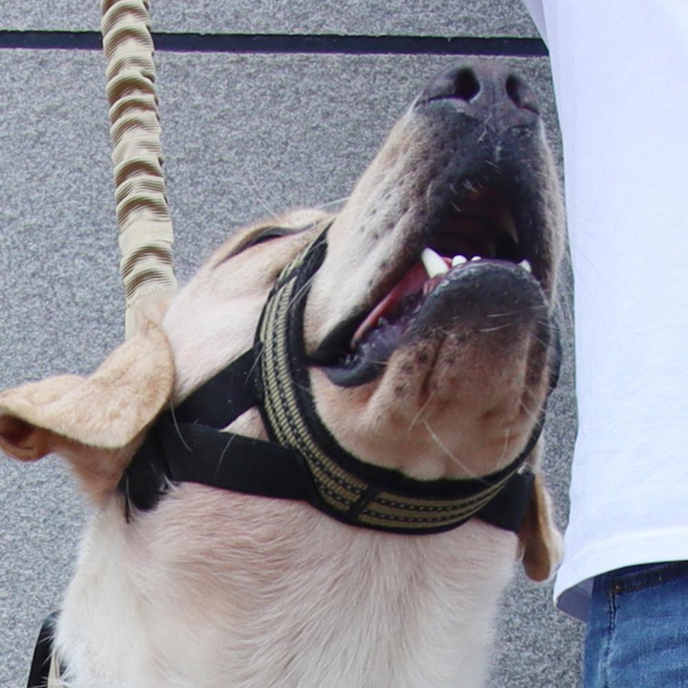 Muselière Réglable Pour Chien - Nylon Réfléchissant, Design Buvable, Sécurité Promenade Et Dressage - 13