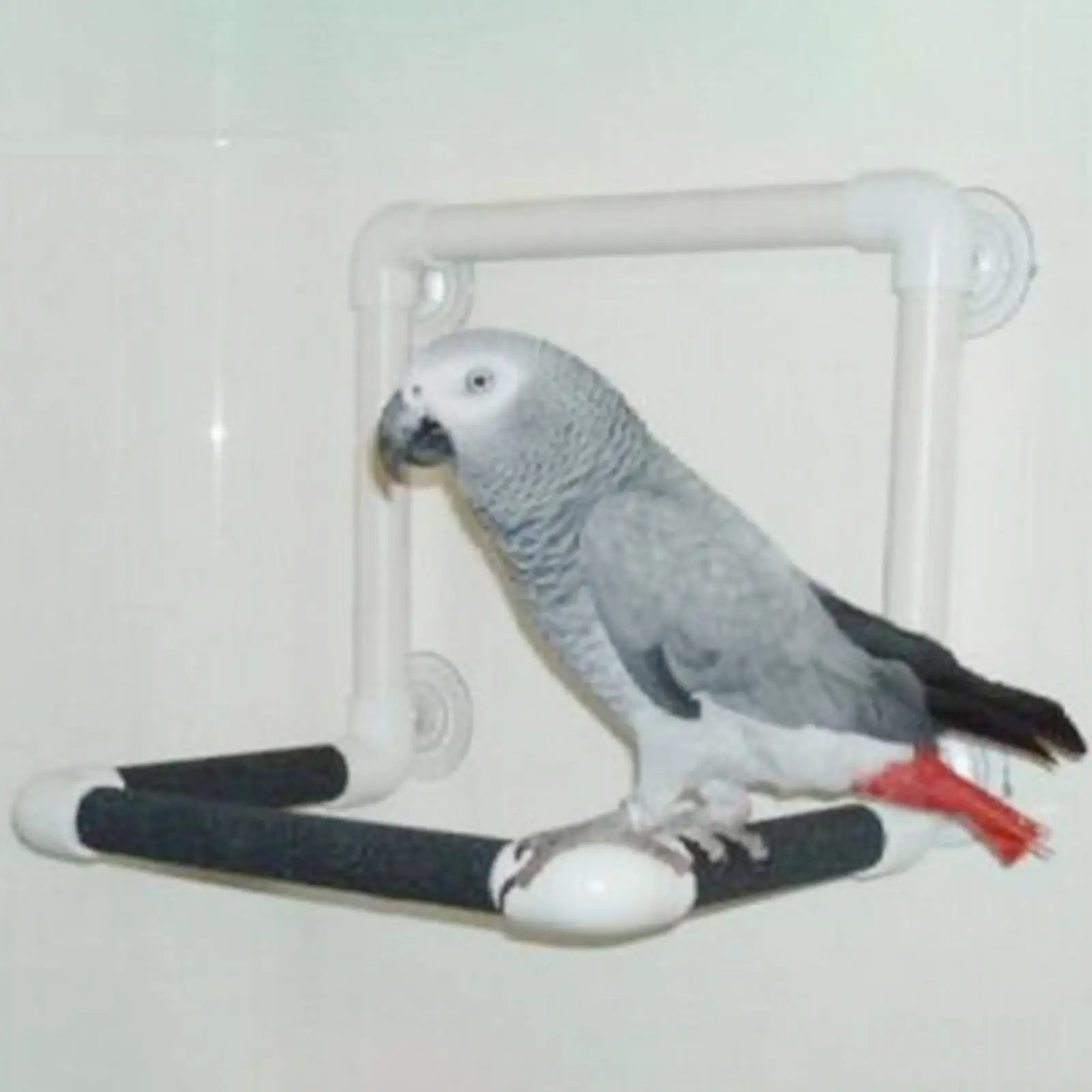 Portable Bird Perch Stand Parrot Shower Stand Suction Cup Cockatiel Window