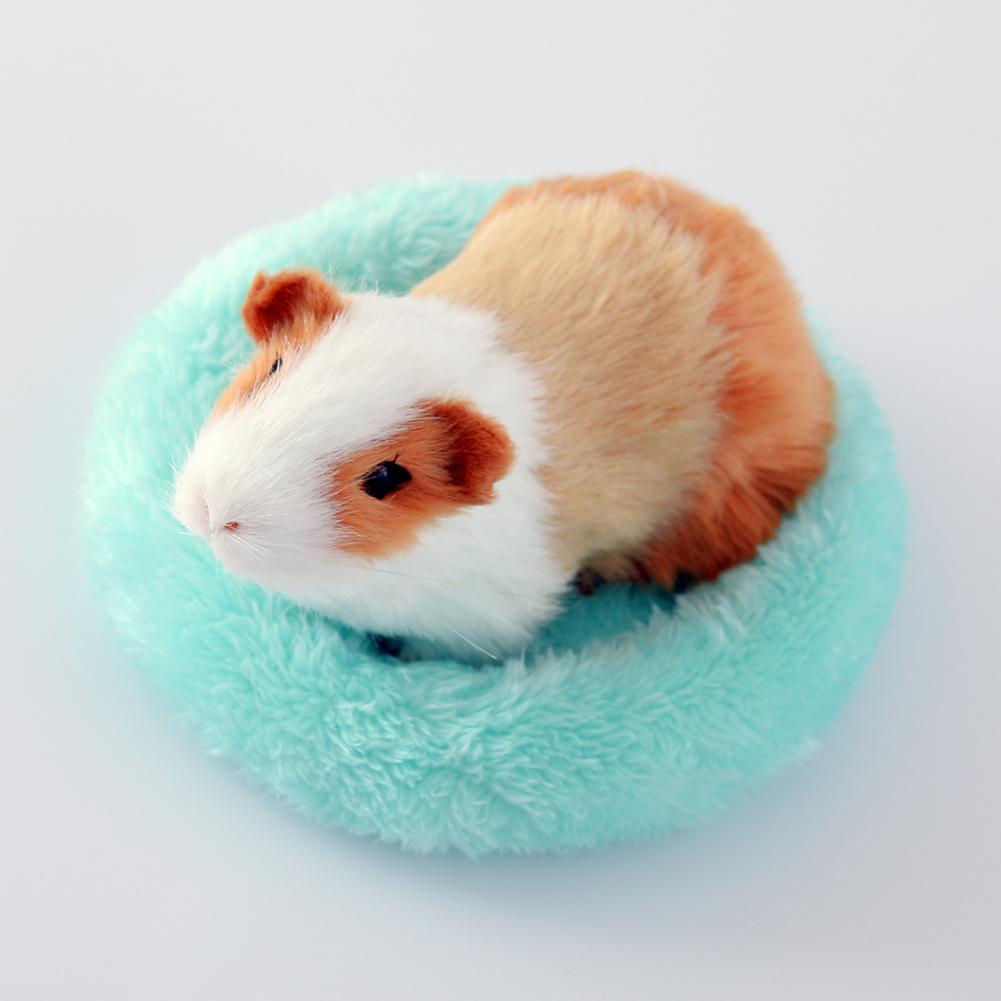 Title 6, Cama de hamster em formato redondo, cama de dor...