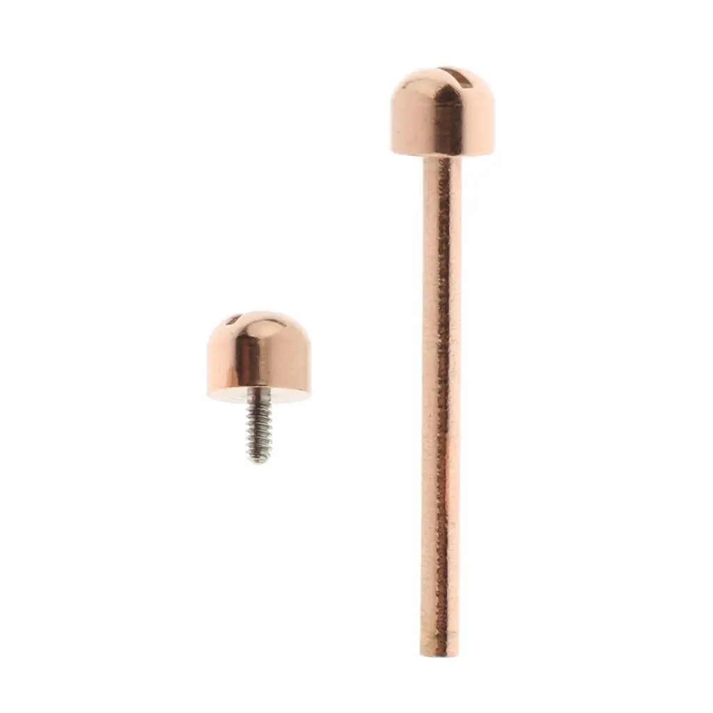 1 Piece Watch Screw Tube Screw Connecting Rose Gold w/Beautiful 8mm/20mm/22mm Inner Diameter