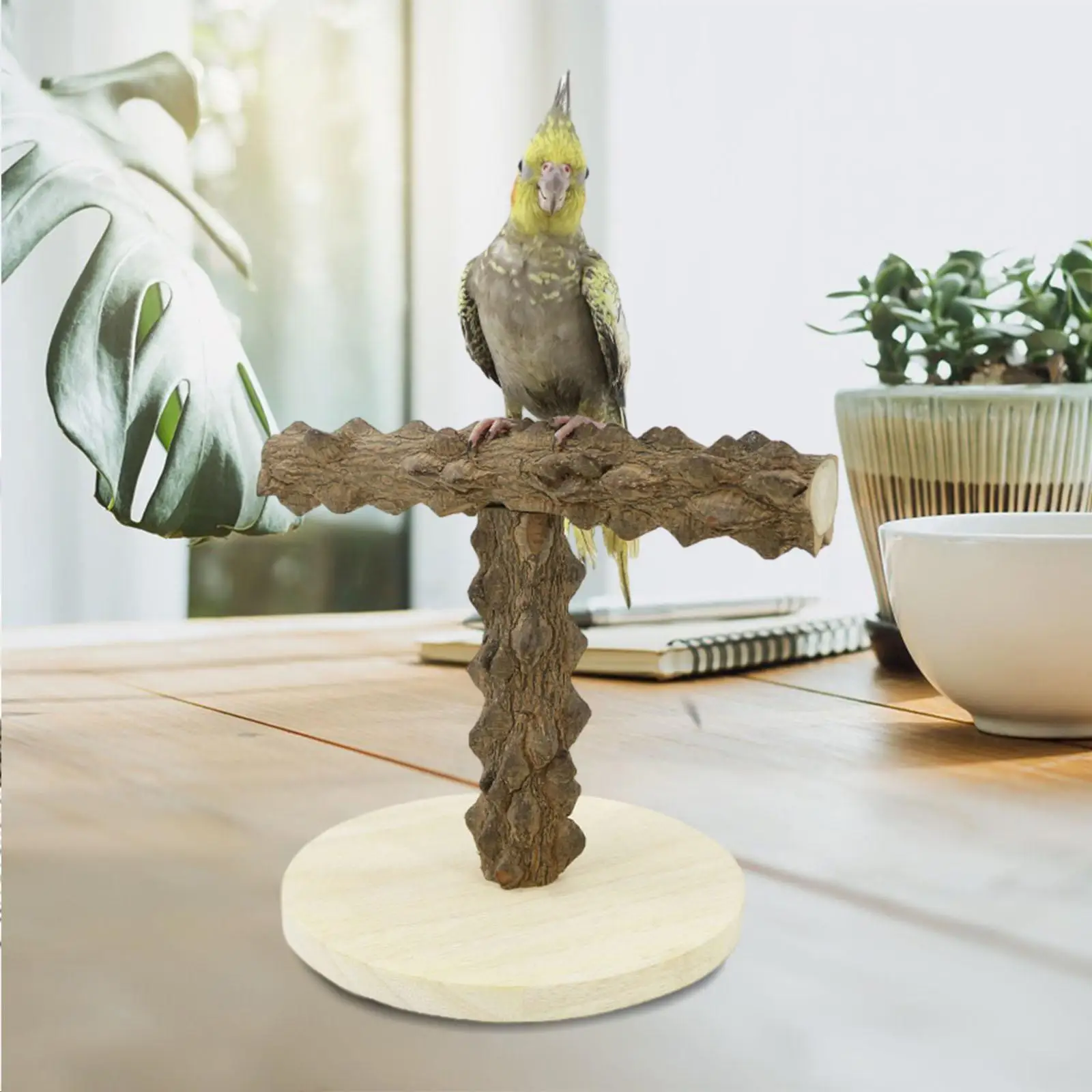 Parrot Play Stand Gym Stand Chewing Toys Wood for Macaws Parakeet Lovebirds