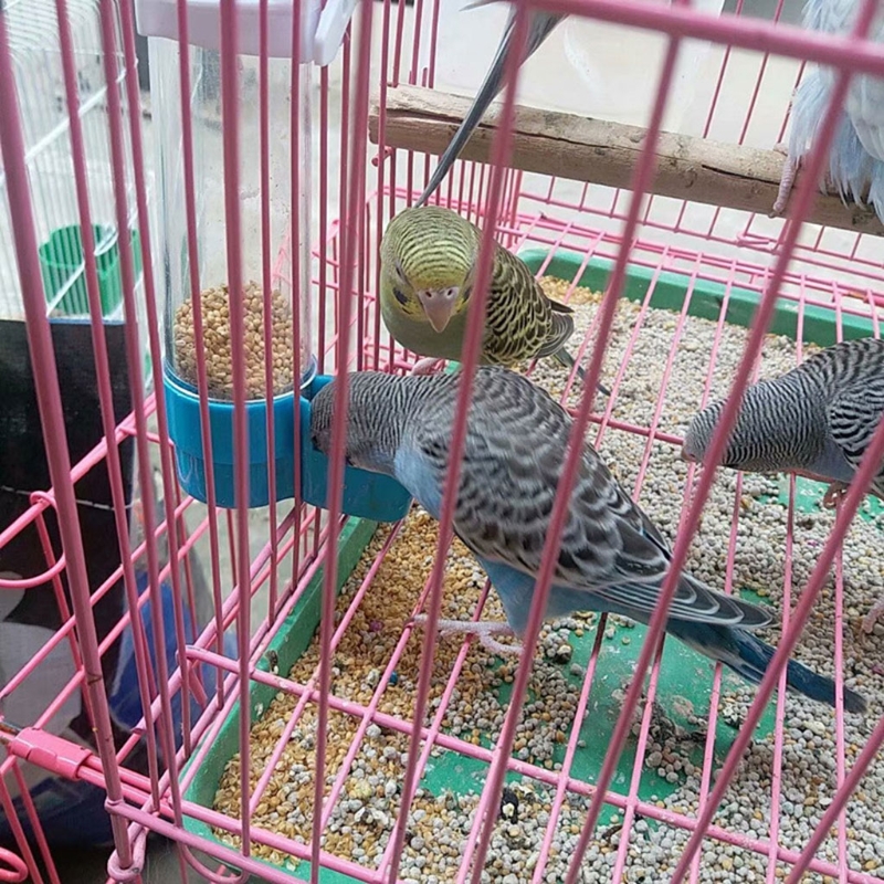 Haustier Vogel Kunststoff Auto Feeder Papagei Nymphensittich Fütterung Wasser Trinker Tasse Schüssel Spender Käfig Liefert – Detail 8