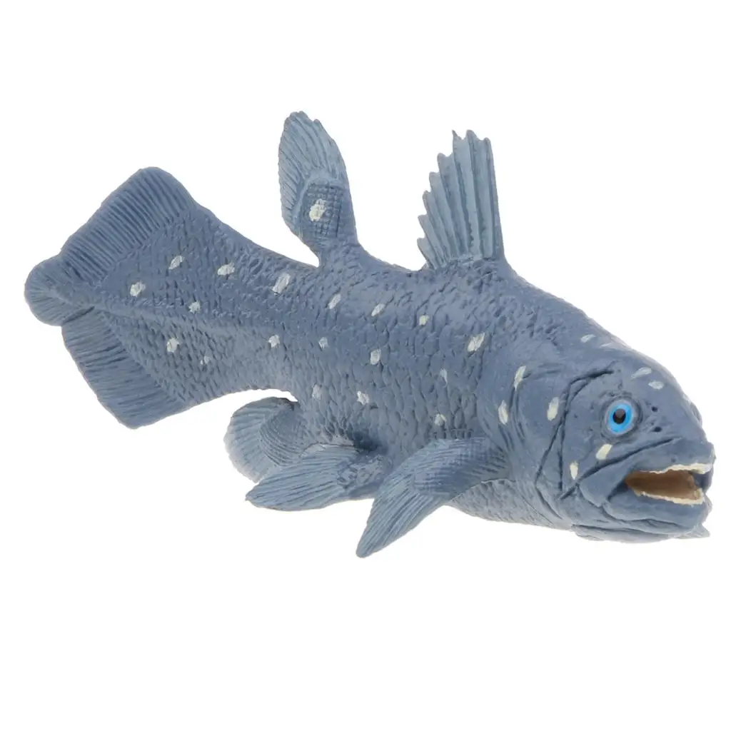   Animal Model Figurine toy for kids Gift Home Decor - Coelacanth