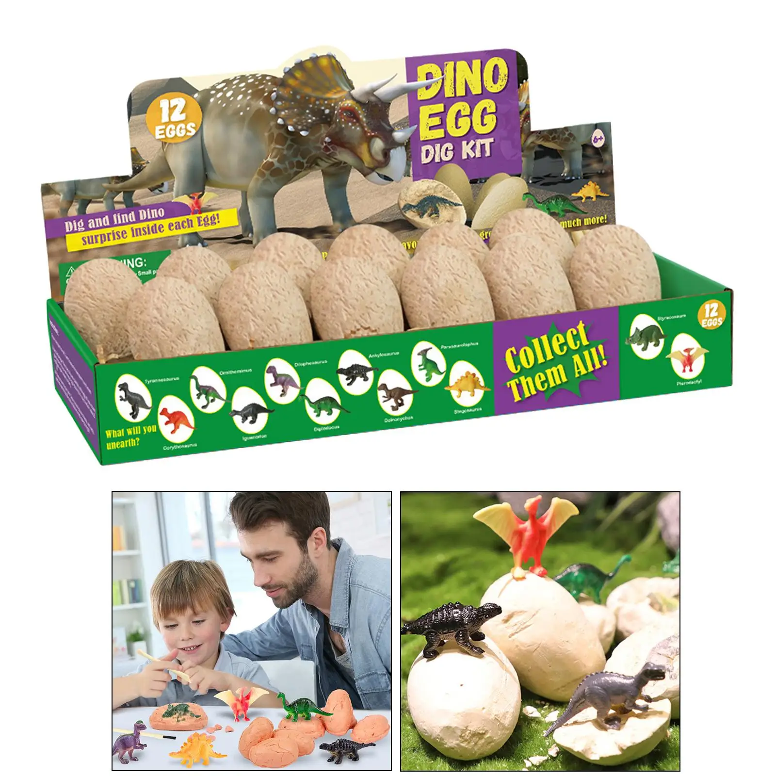  Dino Egg Diggings DIY Part Educational Archeology