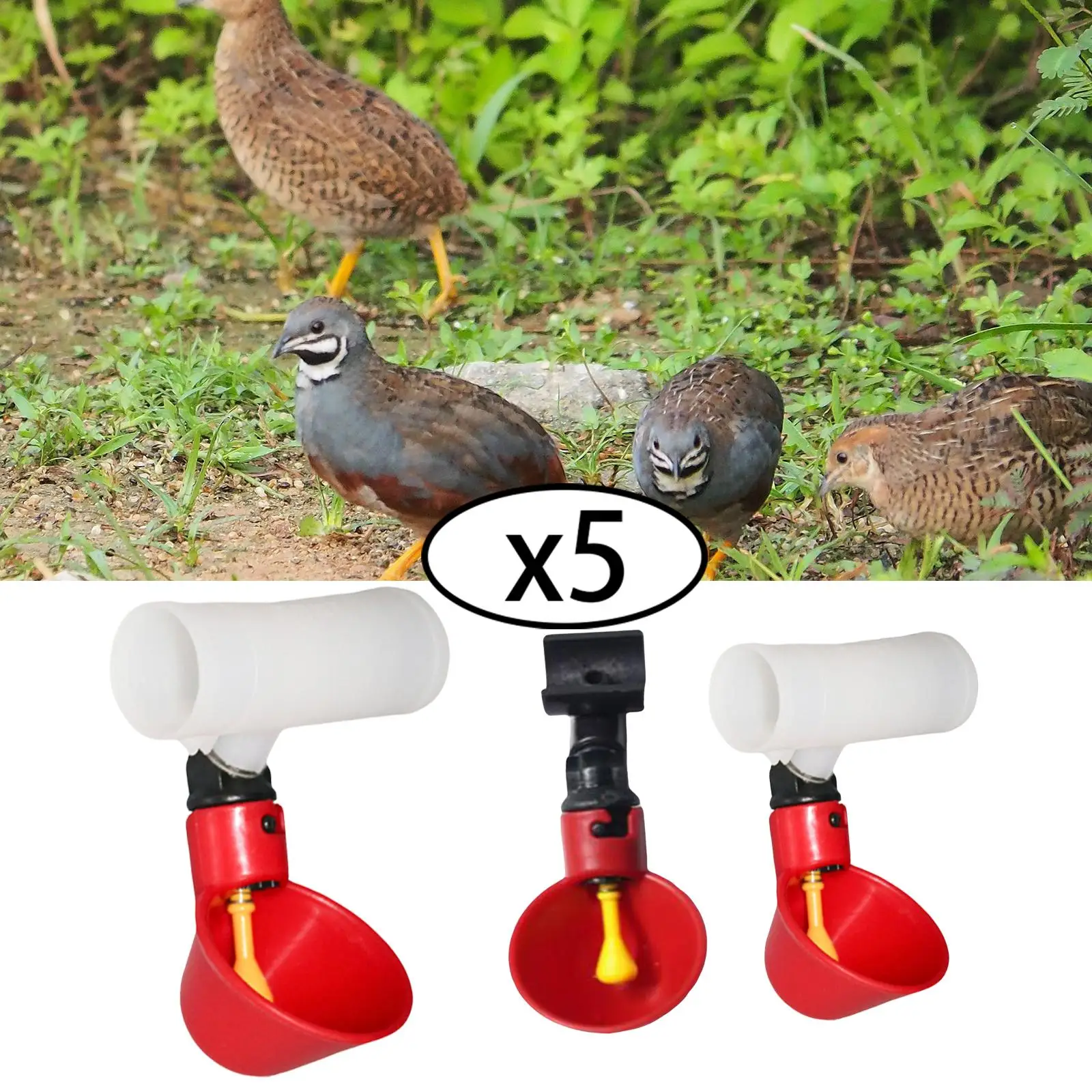 5 Pieces Automatic Chicken Drinkers Cups for Ducks Poultry Quail