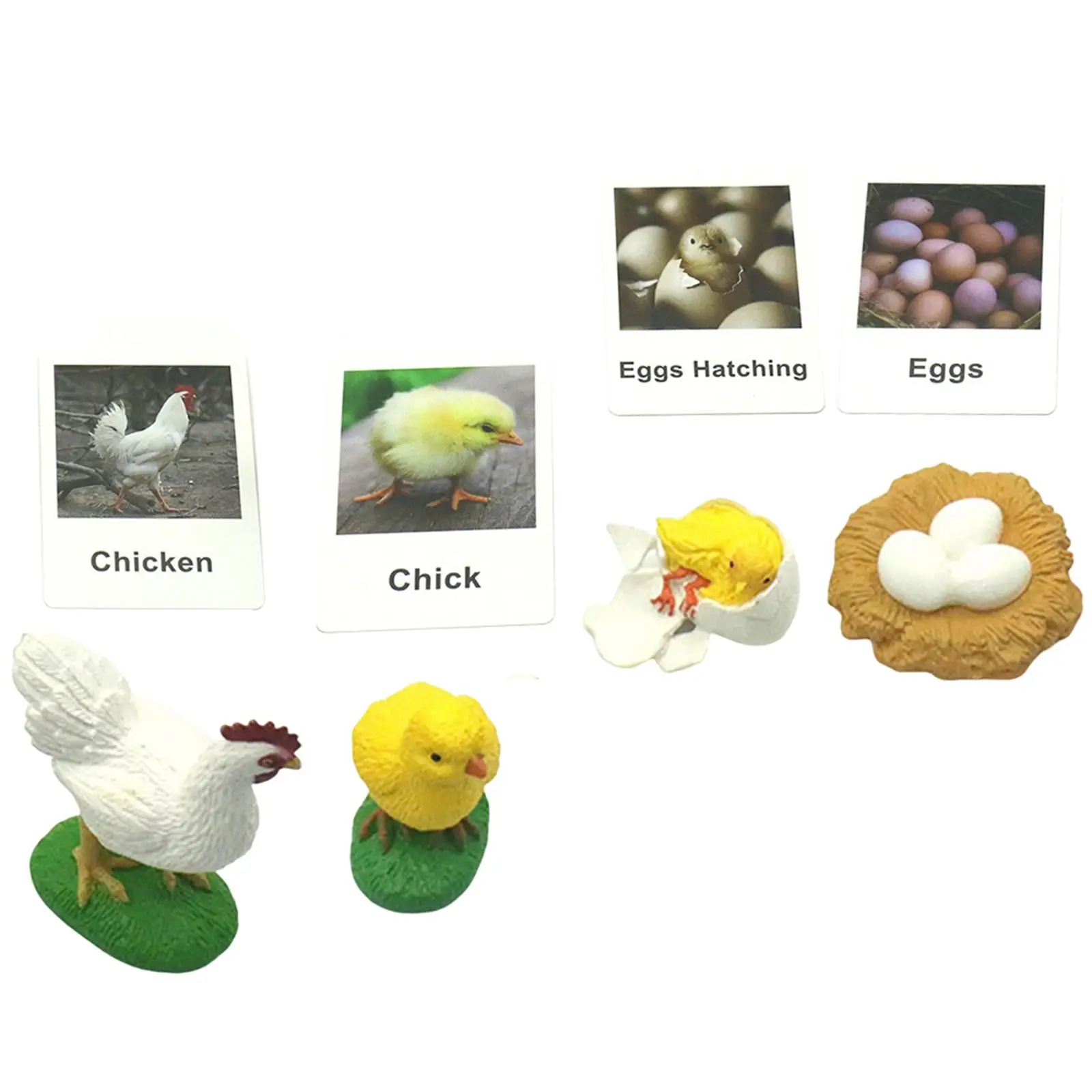 Chicken Life Cycle Figurines Chick Miniature Chicken Hen Egg Figurines Figures for School