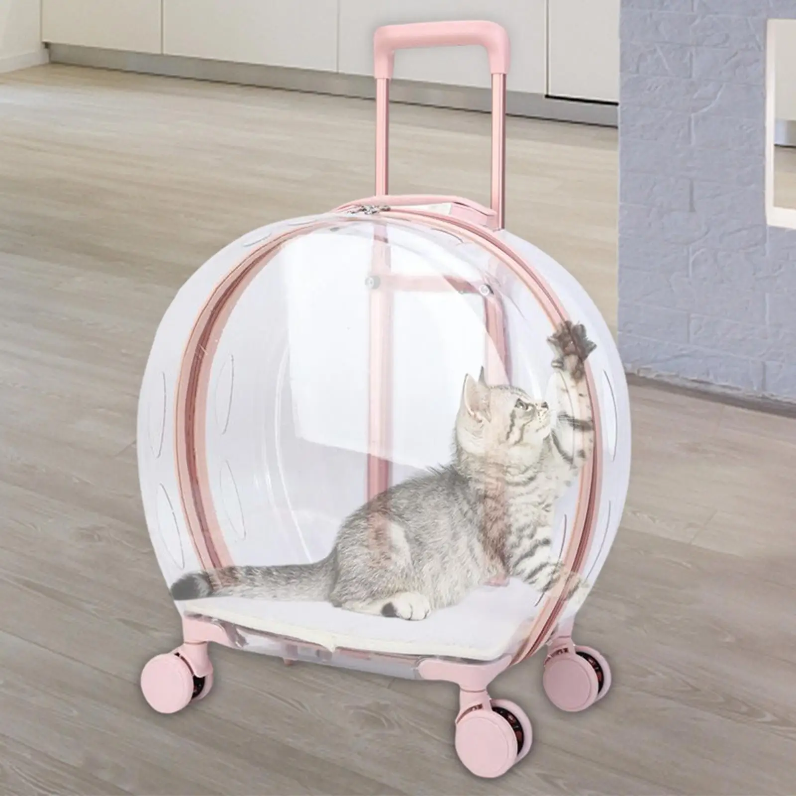  Cats Dogs Air Box Space   Suitcase Pet Trolley Case Carrier