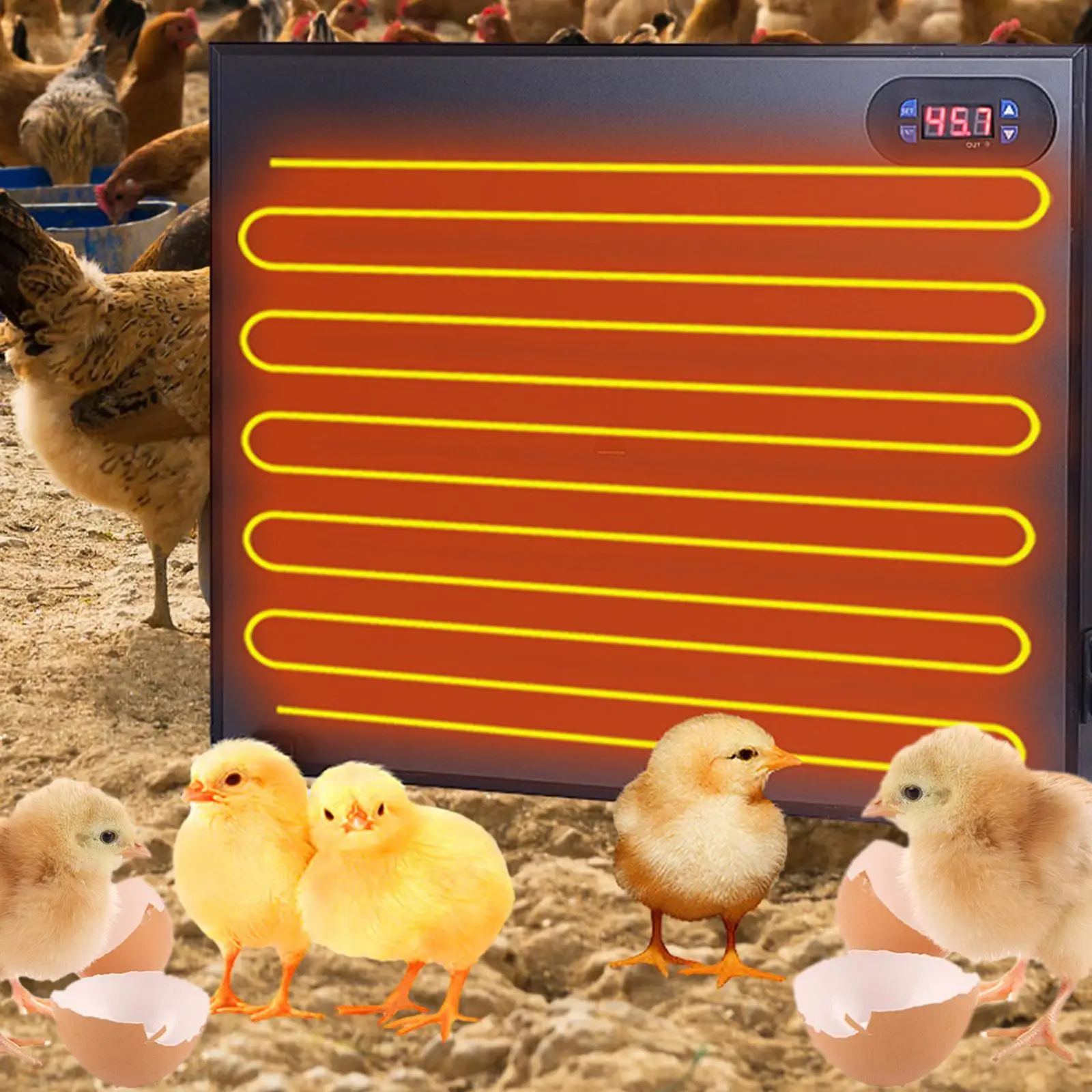 Chicken Coop Heater Warmer Digital Display Heat Panel Pet Heater for Winter Heating Plate for Pets Animals Chick Kitten Puppy