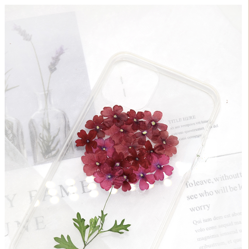 1-2cm/24 Stück, Natürliche Gepresste Sakura-Blüten, Echte Blütenblätter für DIY Kleber-Dekoration Handyhülle Maniküre Gesichtsdekoration – Detail 3