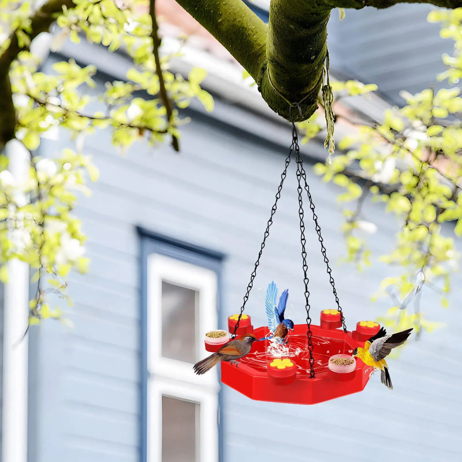 3 in 1 Bird Feeder Birding Supplies with Brush Hanging for Balcony Deck Yard