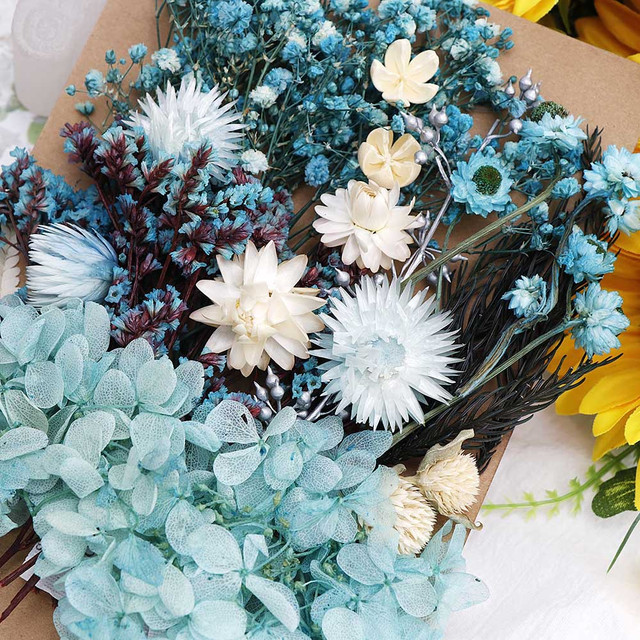 1 Box Real Dried Flowers Natural Colorful Plant DIY Photo Materials  Birthday Gift Accessories Making Festival Wedding Home Decor