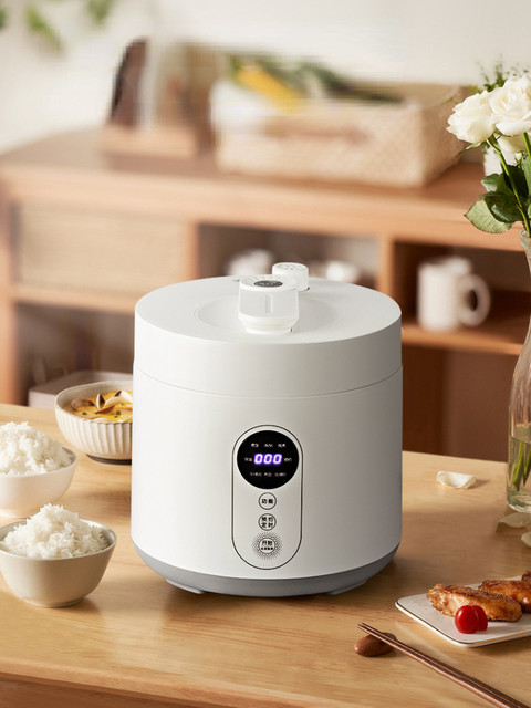 2 in 1 pressure cooker store and rice cooker