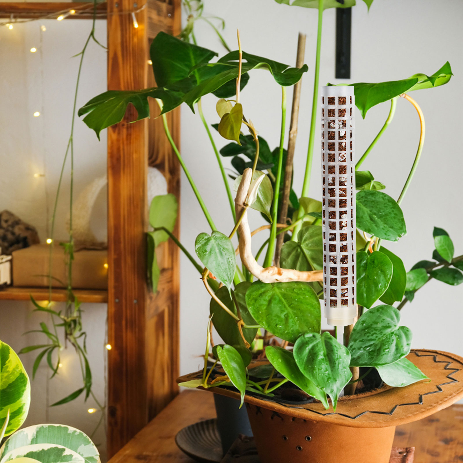 Tuteur Plante,Tige d'extension de Support pour plantes d'intérieur — free download